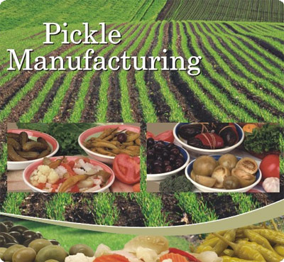 PICKLE MANUFACTURING