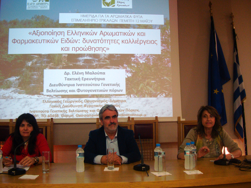 ΗΜΕΡΙΔΑ ΑΡΩΜΑΤΙΚΑ ΦΥΤΑ