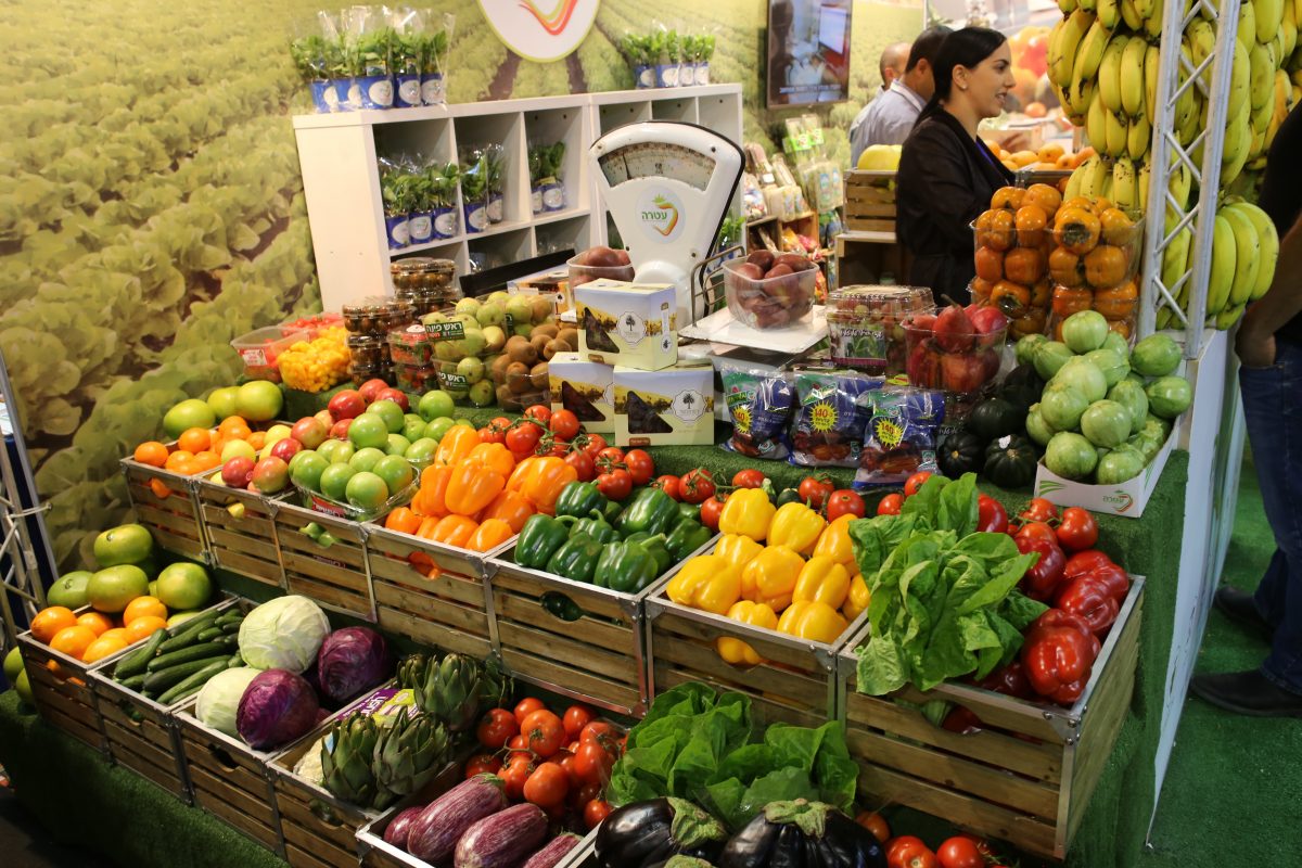 Natural-and-Organic-Expo-Dubai_F365.jpg