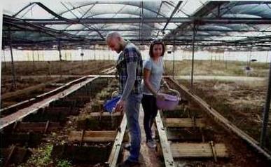 agrotes neoi 1 F30661