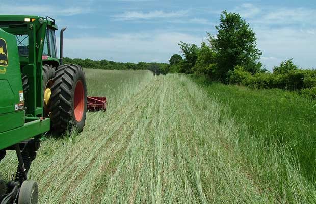 kap agrotes 620x400 F18860