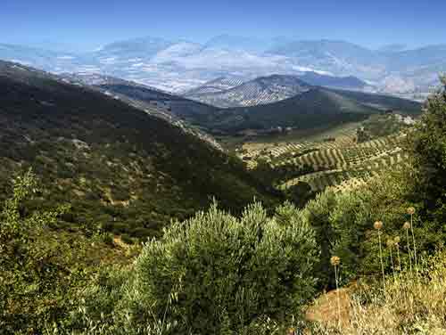 ΠΡΑΣΙΝΟ ΘΕΡΜΟΚΗΠΙΟ ΠΡΑΣΙΝΟ ΘΕΡΜΟΚΗΠΙΟ