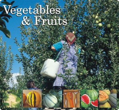 vegetables F8849